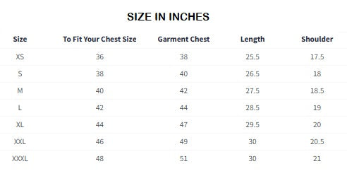 HTTYD Toothless Card Men Relaxed Fit T-Shirts