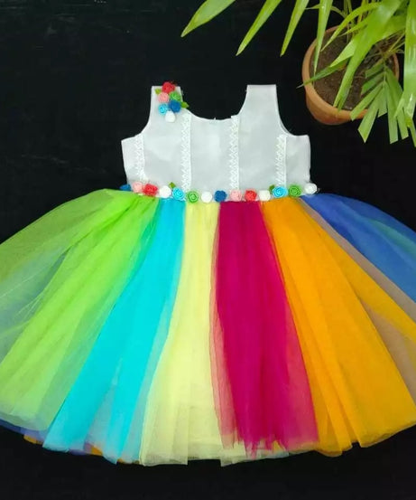 Heavy Net Multi Color Dress