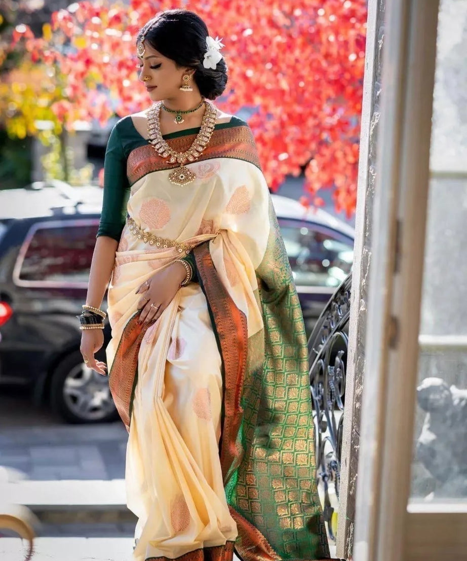 Classic Banarasi Soft Silk Saree, Fancy Wedding Sari & Blouse