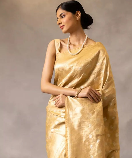 Banarasi Soft Silk Sari With Blouse