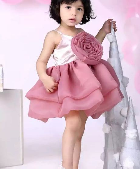 Princess Girl's  Organza Frock