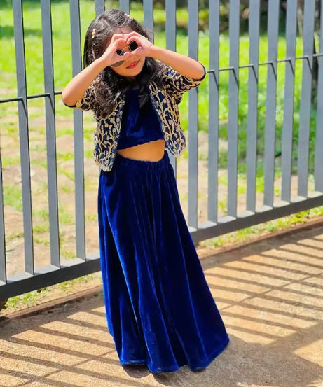 Velvet Lehenga Choli With Embroidery Work Choli