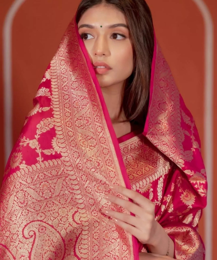 Pakistani Designer Banarasi Soft Silk Saree & Blouse