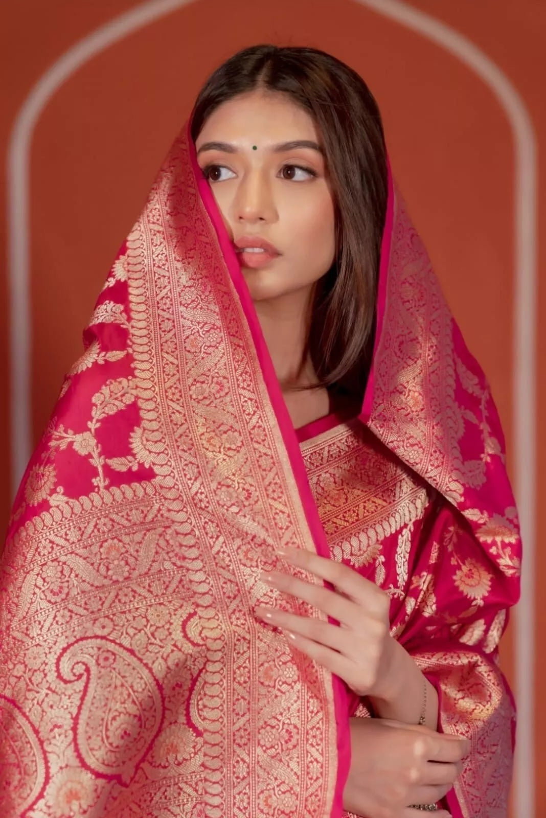 Pakistani Designer Banarasi Soft Silk Saree & Blouse