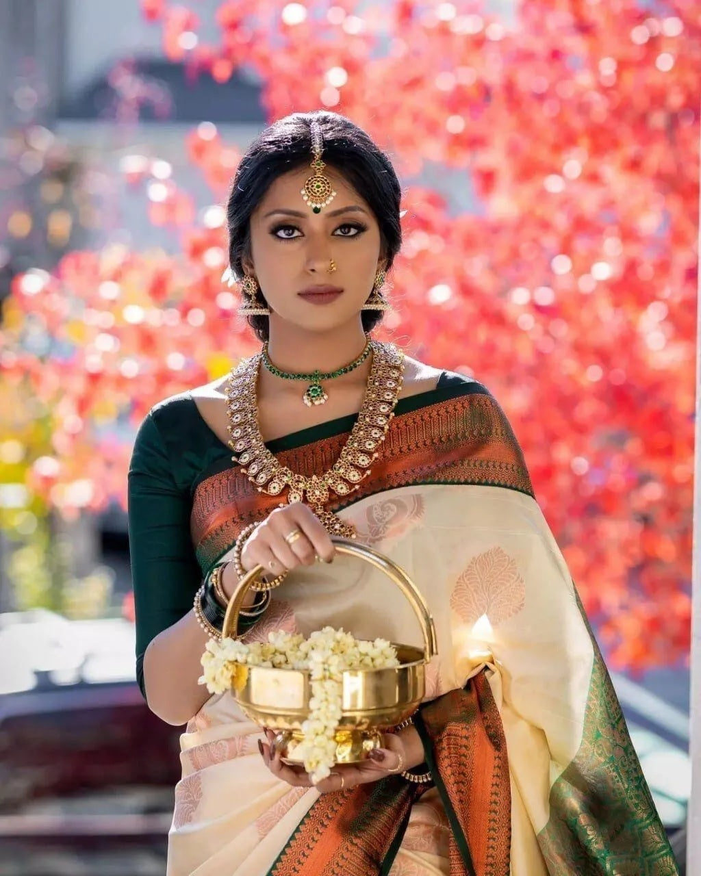 Classic Banarasi Soft Silk Saree, Fancy Wedding Sari & Blouse
