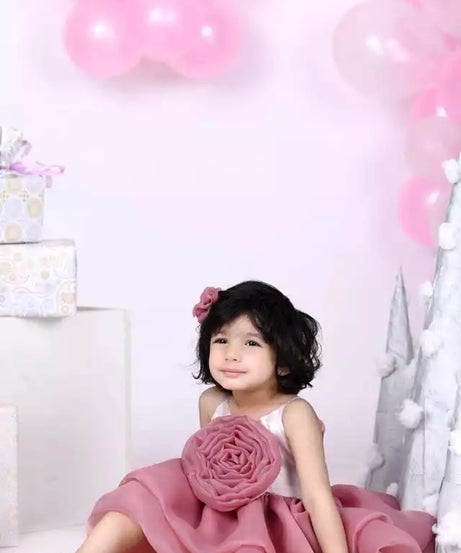 Princess Girl's  Organza Frock