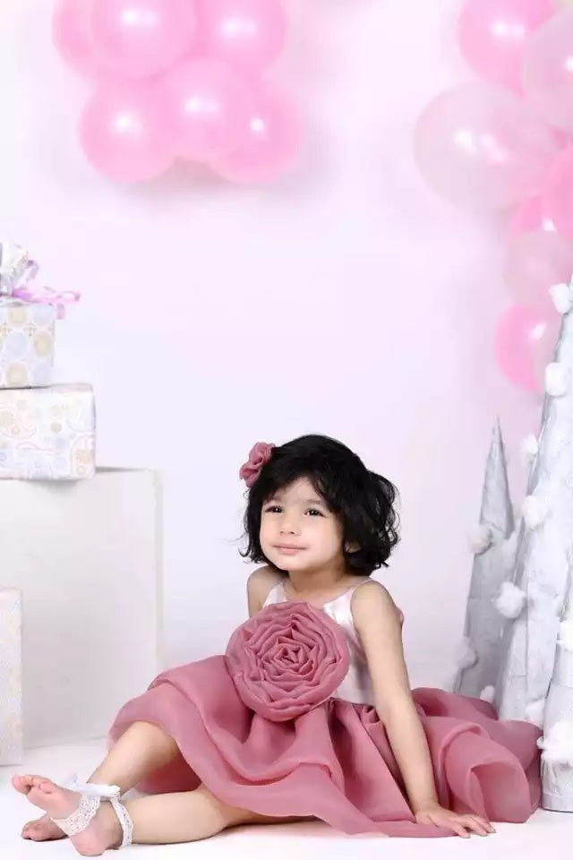 Princess Girl's  Organza Frock