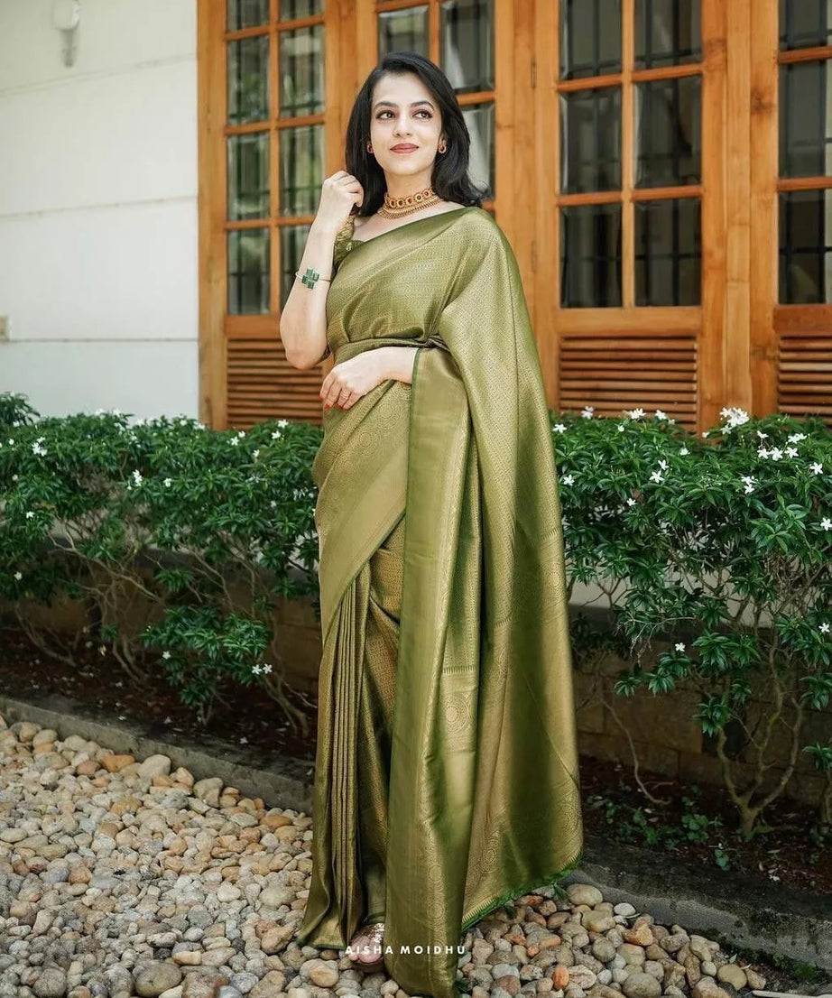 PartyWear Fancy Saree, Ethnic Function Style Sari & Blouse
