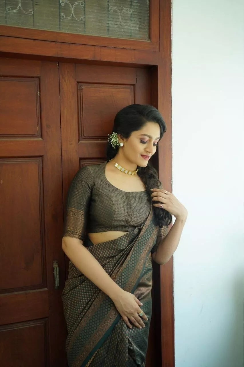 Luxurious Banarasi Silk Saree with Heavy Zari Border Sari & Blouse