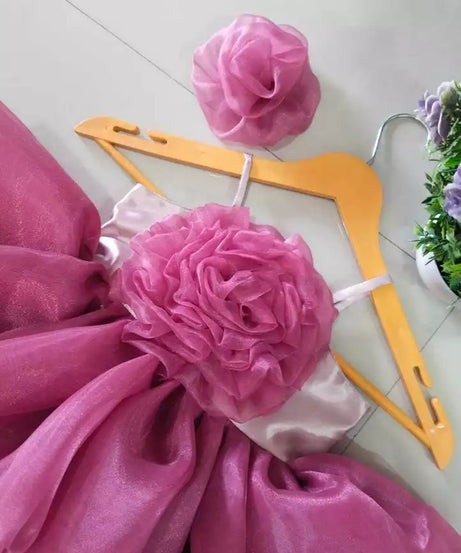 Princess Girl's  Organza Frock