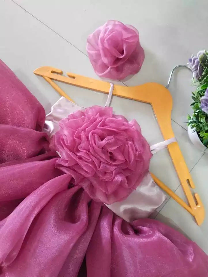 Princess Girl's  Organza Frock