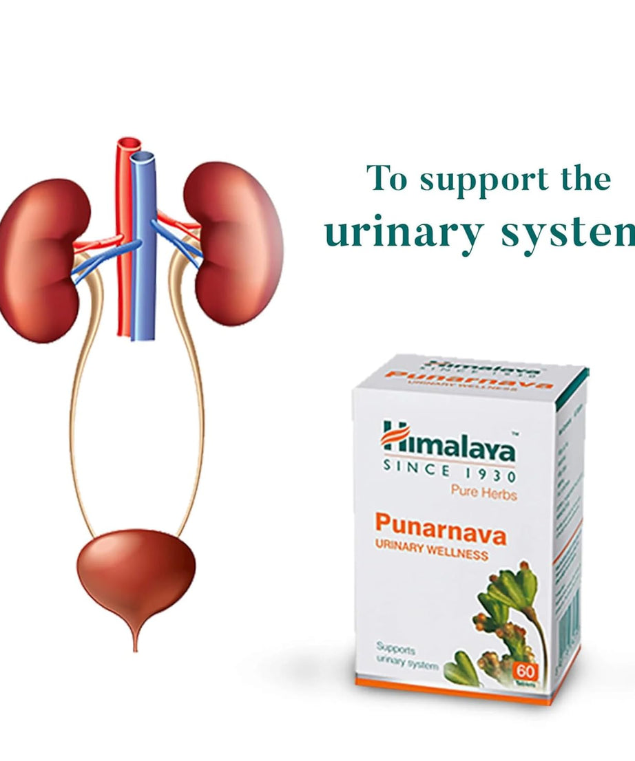 Himalaya Punarnava Tablets - 60 Count