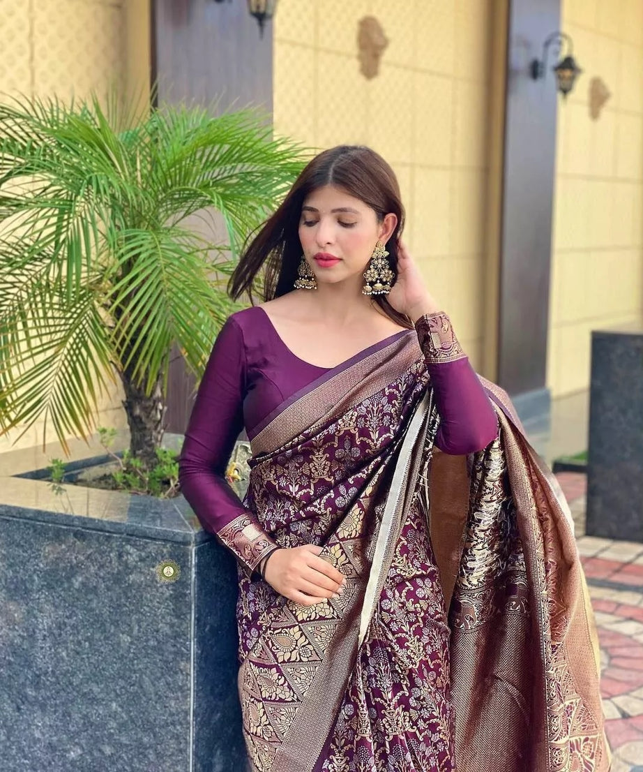 Designer Banarasi Soft Silk Saree & Blouse
