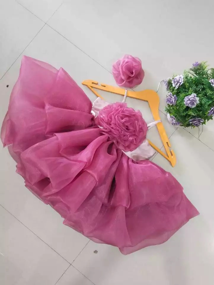 Princess Girl's  Organza Frock