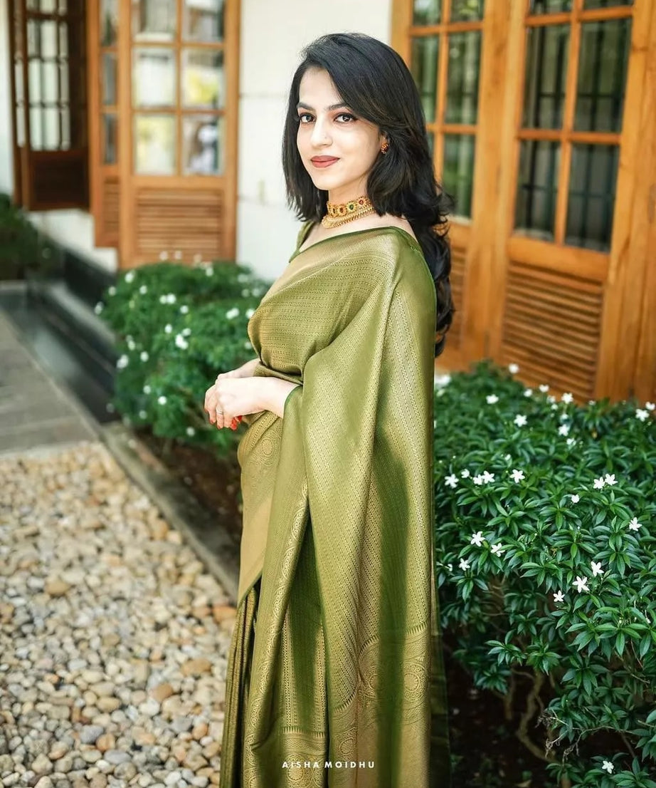 PartyWear Fancy Saree, Ethnic Function Style Sari & Blouse