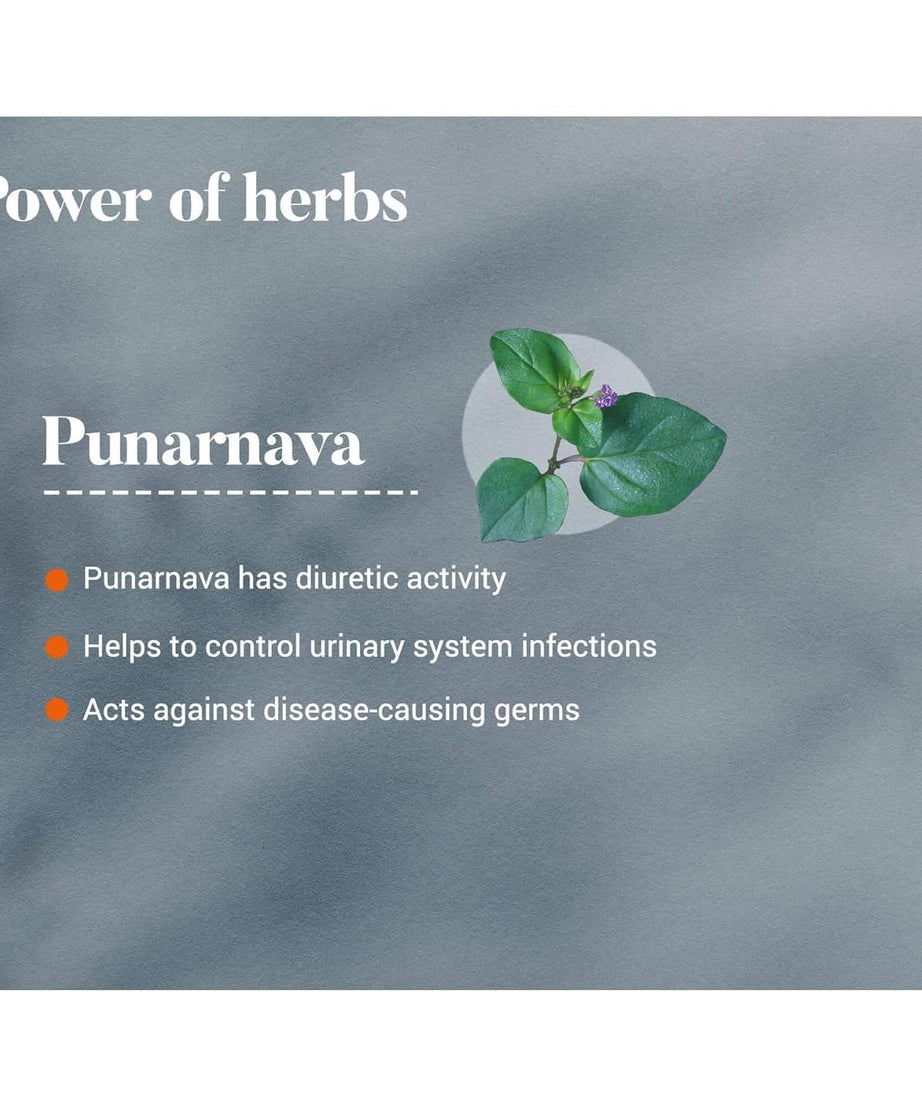Himalaya Punarnava Tablets - 60 Count