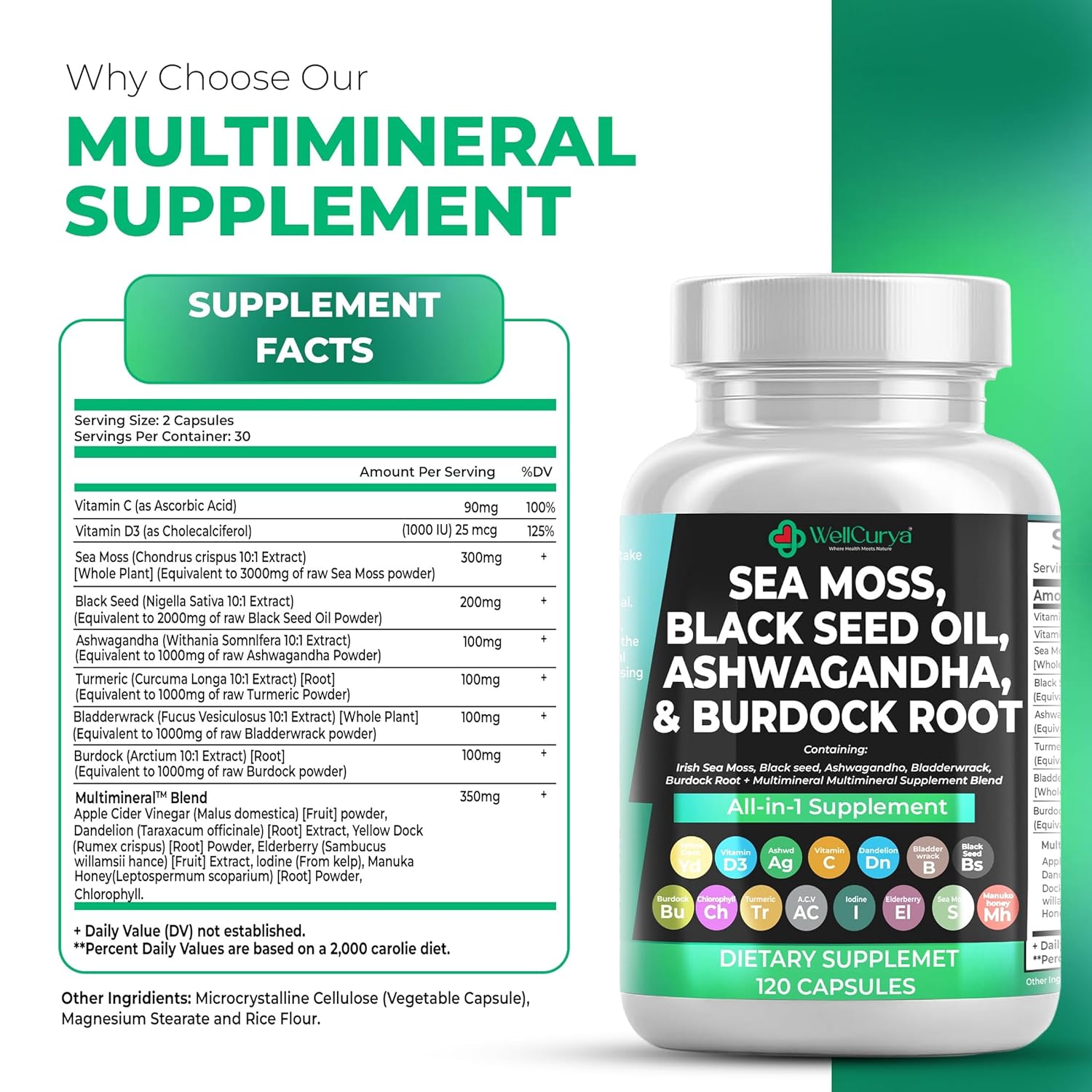 WELLCURYA Blended Vitamin Supplement -120 Capsule