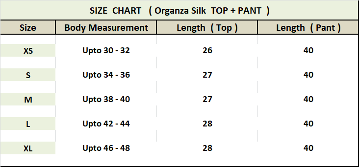 Organza Silk Co-ord Set For Women's