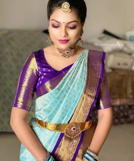 Banarasi Soft Silk Saree, Gorgeous Elegant Beautiful Sari With Blouse